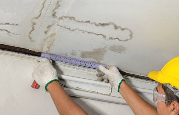 Reliable Water Damage contractor in Holden, WV by Water Damage Irwin